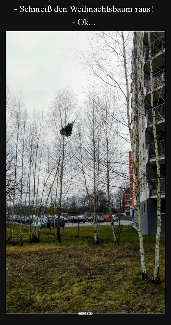 - Schmeiß den Weihnachtsbaum raus! - Ok...
