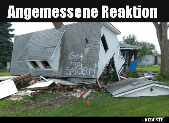 Angemessene Reaktion..