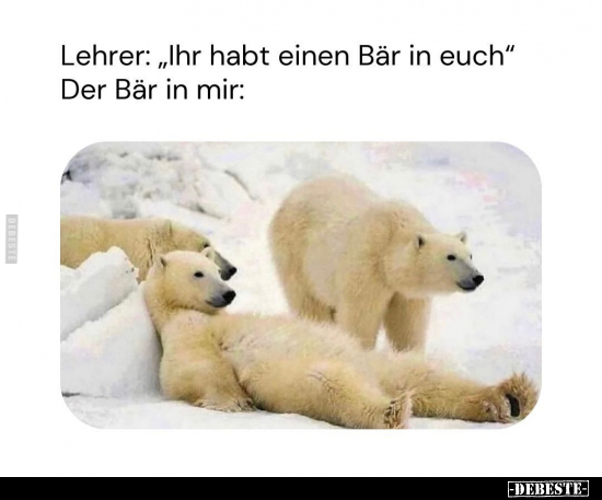 Lehrer: "Ihr habt einen Bär in euch".. - Lustige Bilder | DEBESTE.de