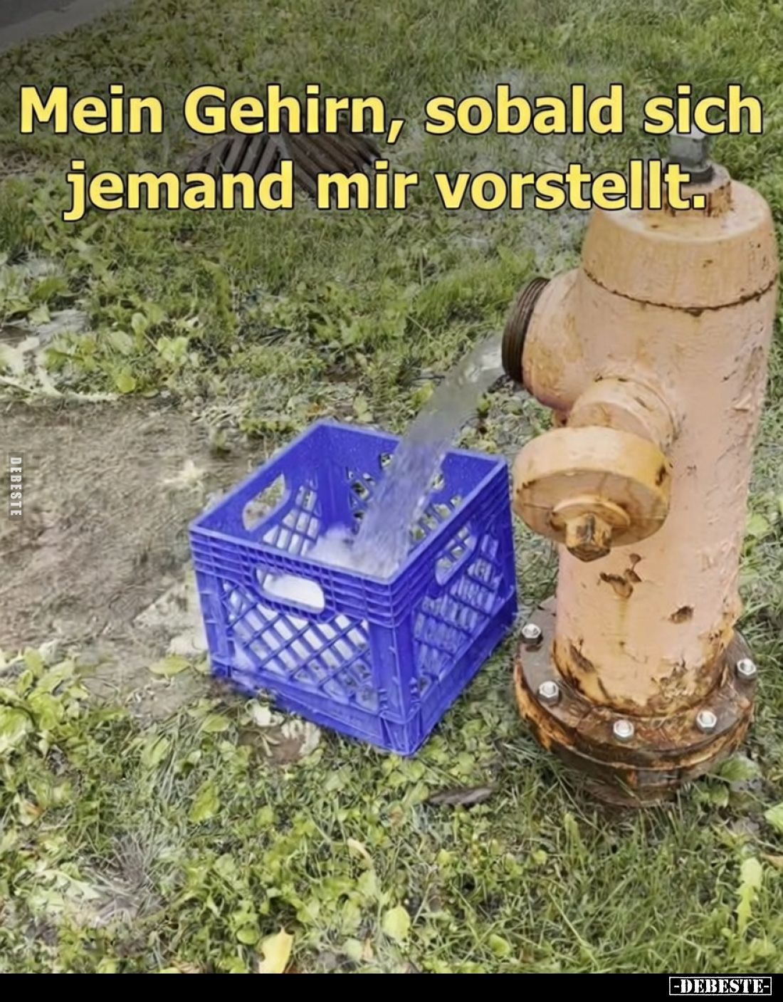 Mein Gehirn, sobald sich jemand mir vorstellt.