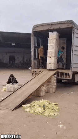 Arbeite klug, nicht hart! - Lustige Bilder | DEBESTE.de