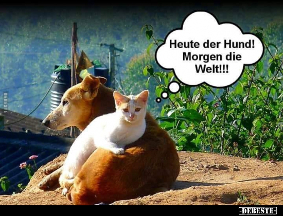 Heute der Hund! Morgen die Welt!!!
