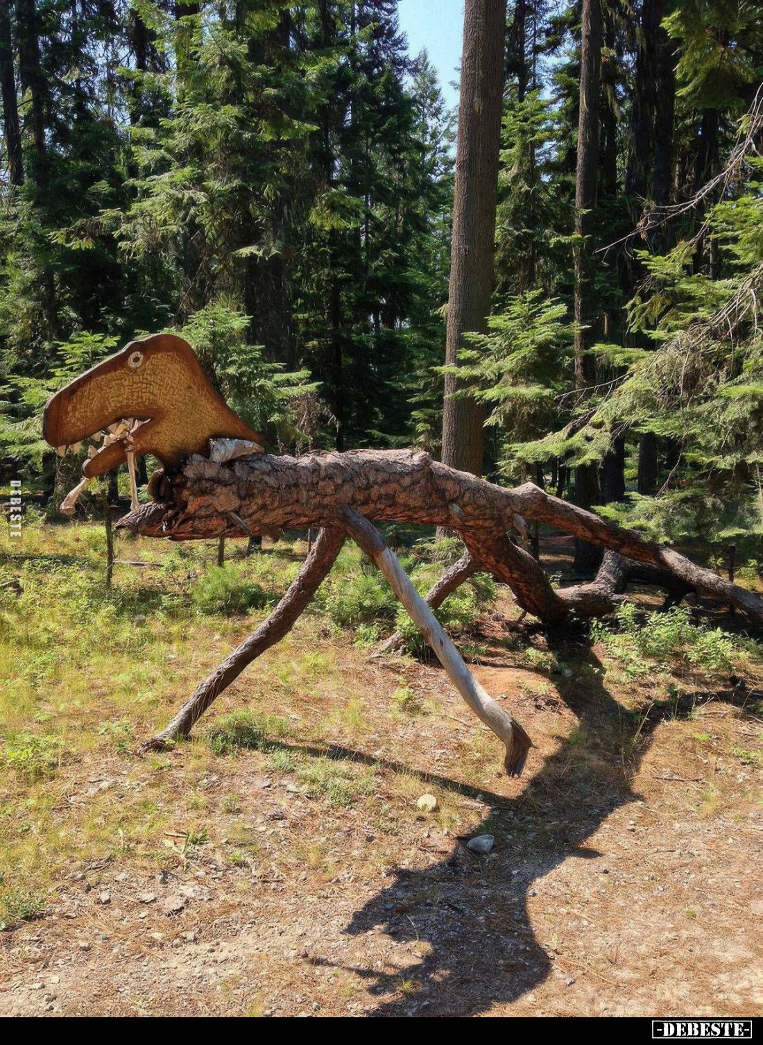  - Lustige Bilder | DEBESTE.de