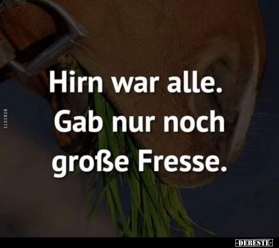 Hirn war alle. Gab nur noch große Fresse... - Lustige Bilder | DEBESTE.de