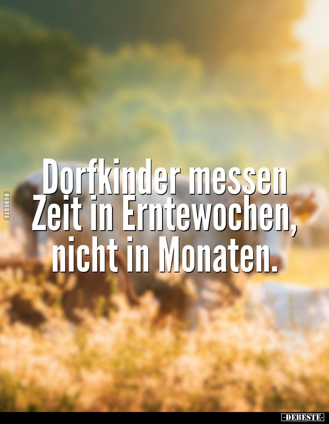 Dorfkinder messen Zeit in Erntewochen, nicht in Monaten.