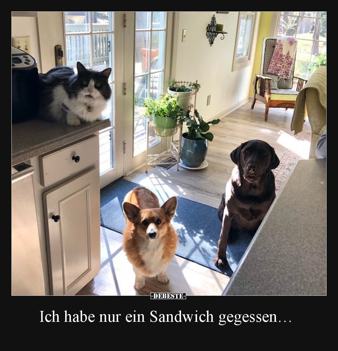 Ich habe nur ein Sandwich gegessen…