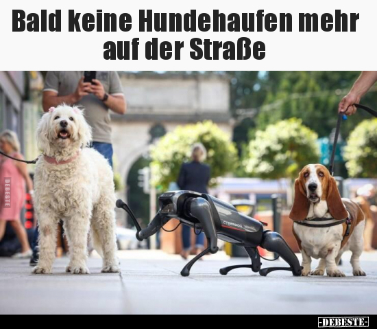 Bald keine Hundehaufen mehr auf der Straße.. - Lustige Bilder | DEBESTE.de
