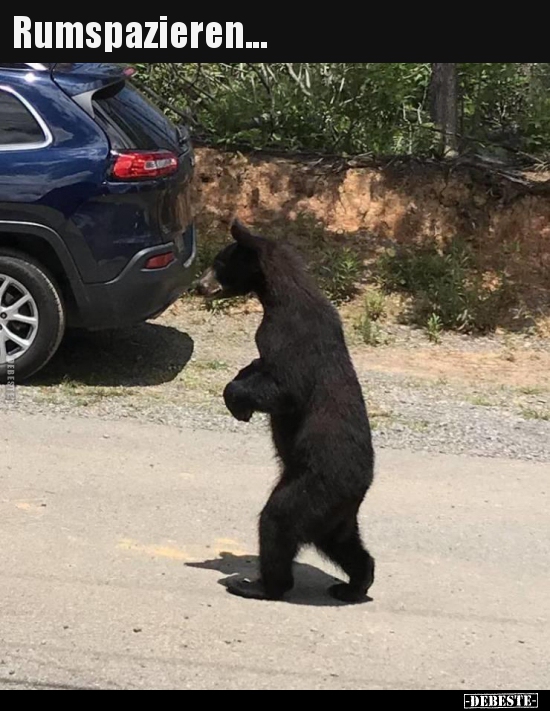 Rumspazieren...