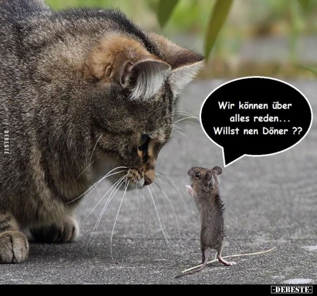 Wir können über alles reden... Willst nen Döner??