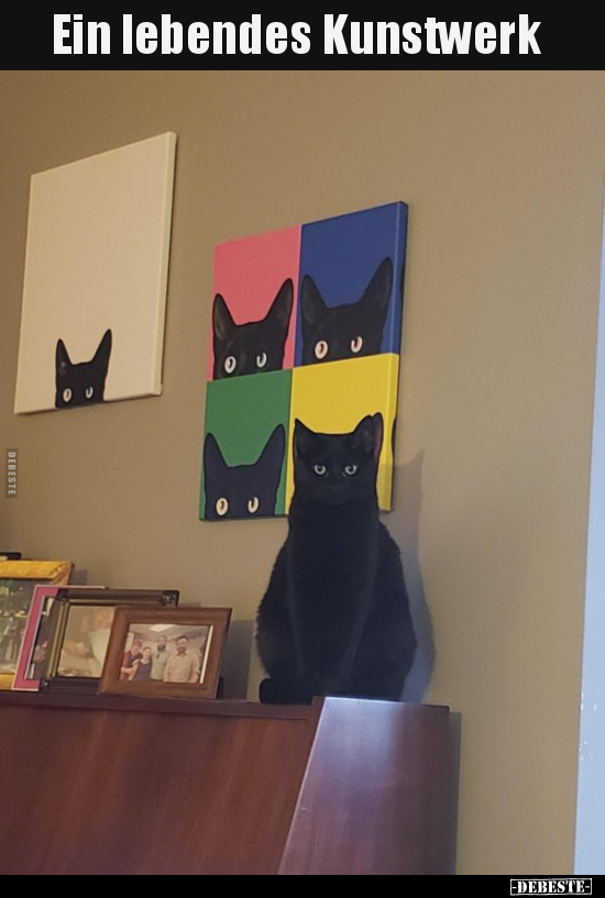 Ein lebendes Kunstwerk.. - Lustige Bilder | DEBESTE.de