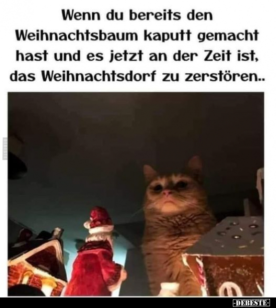 Wenn du bereits den Weihnachtsbaum kaputt gemacht hast.. - Lustige Bilder | DEBESTE.de