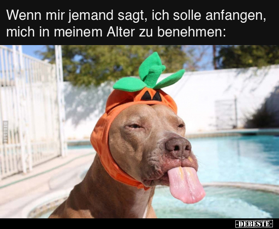 Wenn mir jemand sagt, ich solle anfangen.. - Lustige Bilder | DEBESTE.de