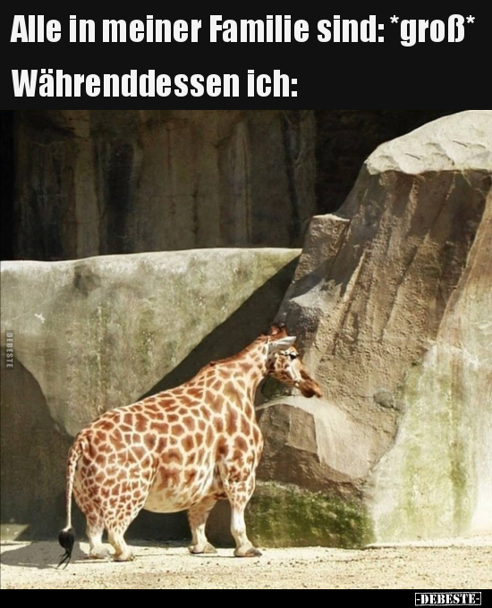 Alle in meiner Familie sind: *groß*
Währenddessen ich: