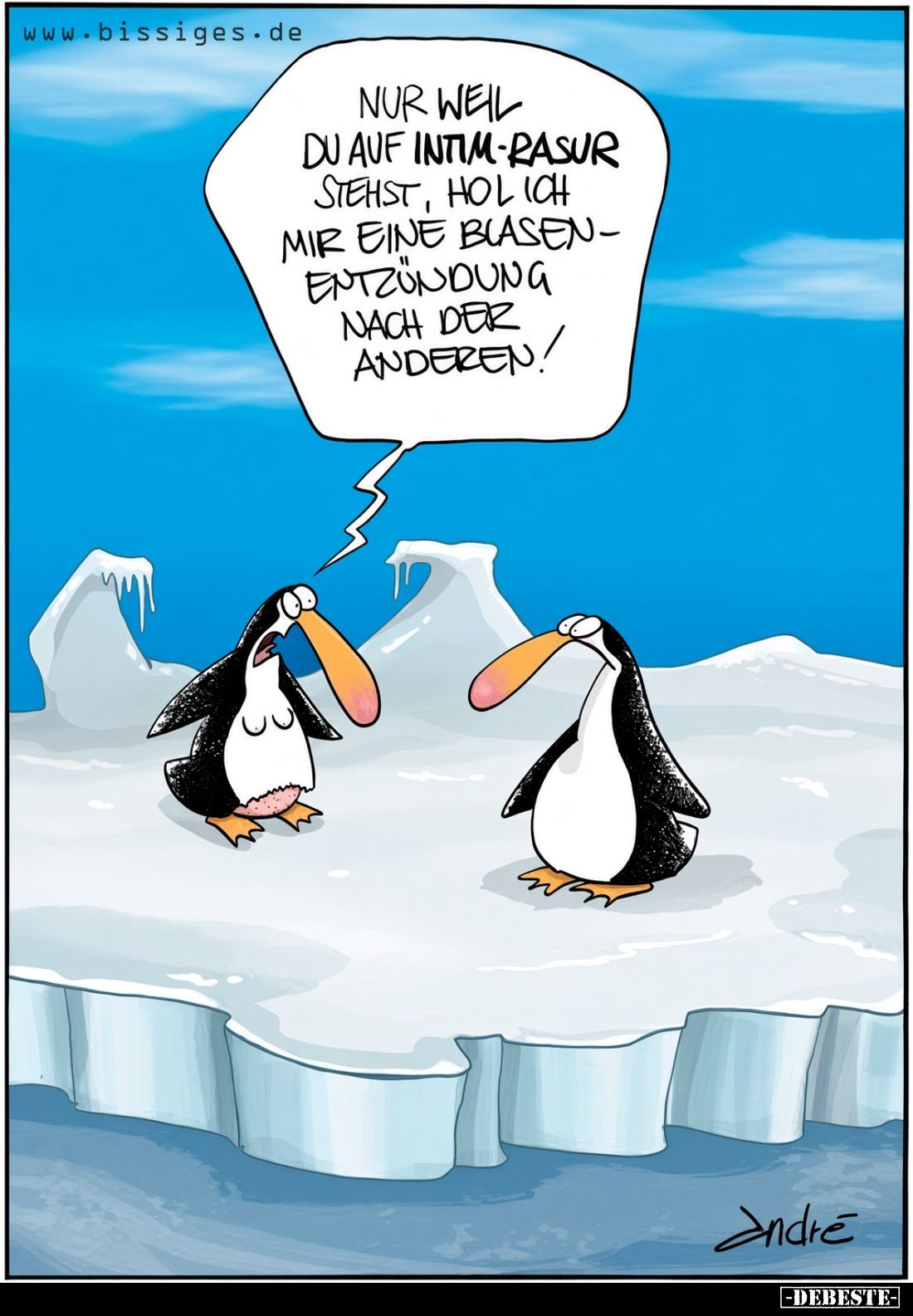 Nur weil du auf Intim-Rasur stehst, hol ich mir eine Blasenentzündung nach der anderen!