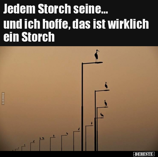 Jedem Storch seine... und ich hoffe, das ist wirklich ein.. - Lustige Bilder | DEBESTE.de