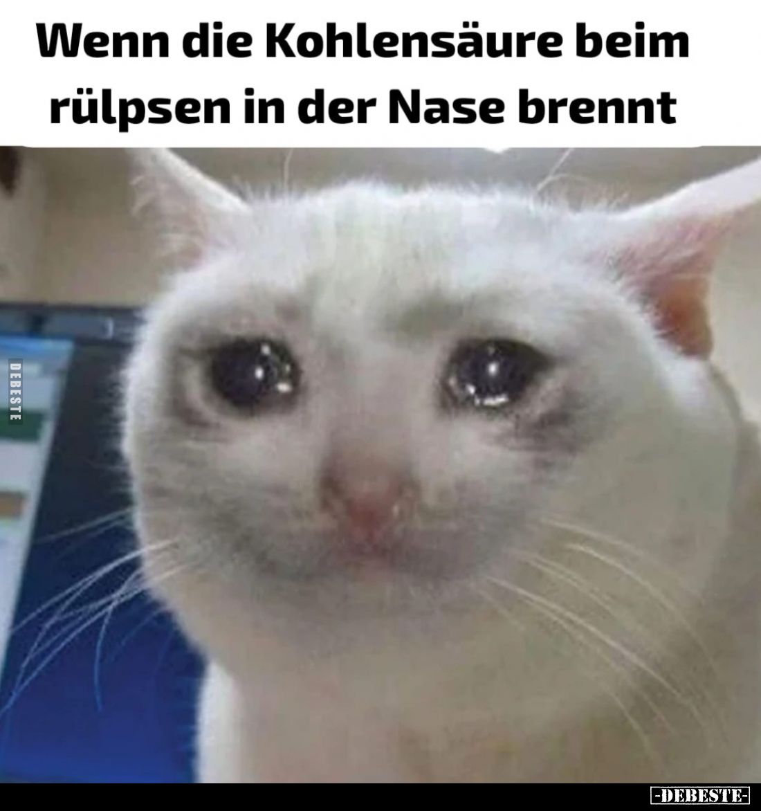 Wenn die Kohlensäure beim rülpsen in der Nase brennt