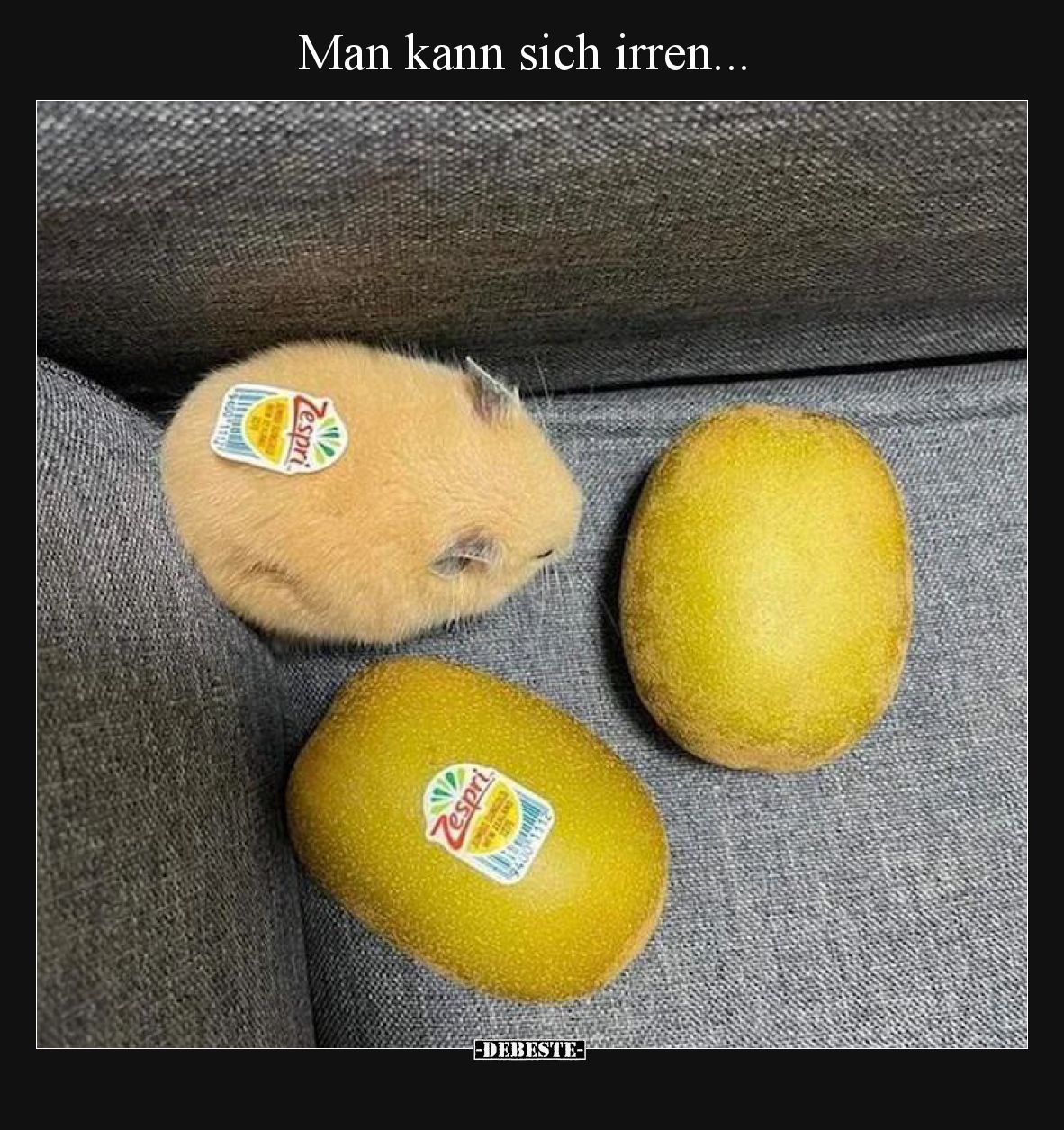 Man kann sich irren.