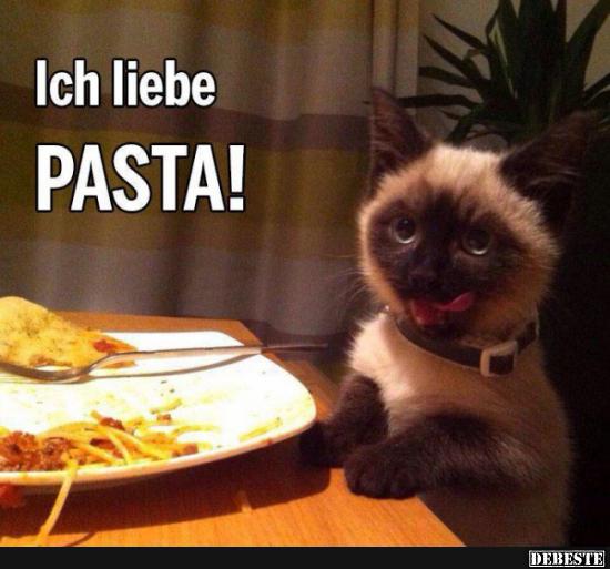 Ich Liebe Pasta Lustige Bilder Spruche Witze Echt Lustig