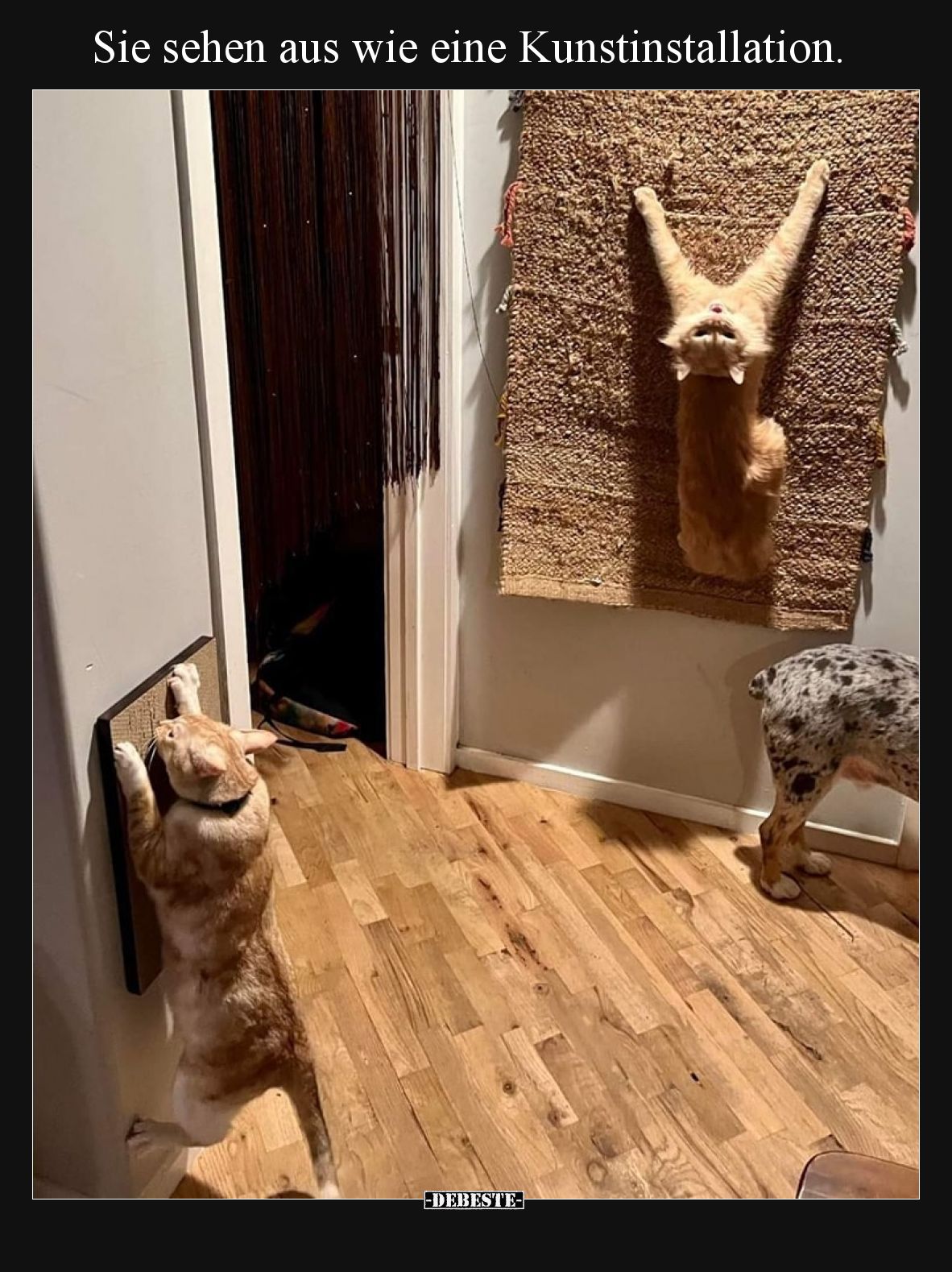 Sie sehen aus wie eine Kunstinstallation.