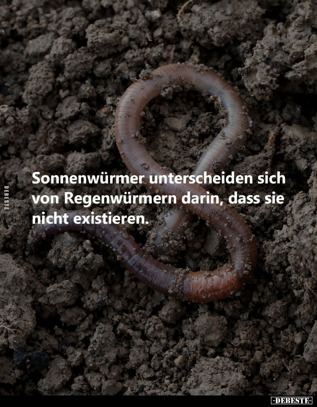 Sonnenwürmer unterscheiden sich von Regenwürmern darin, dass sie nicht existieren.