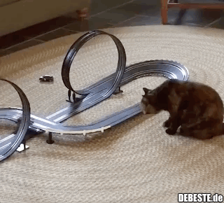 :] - Lustige Bilder | DEBESTE.de