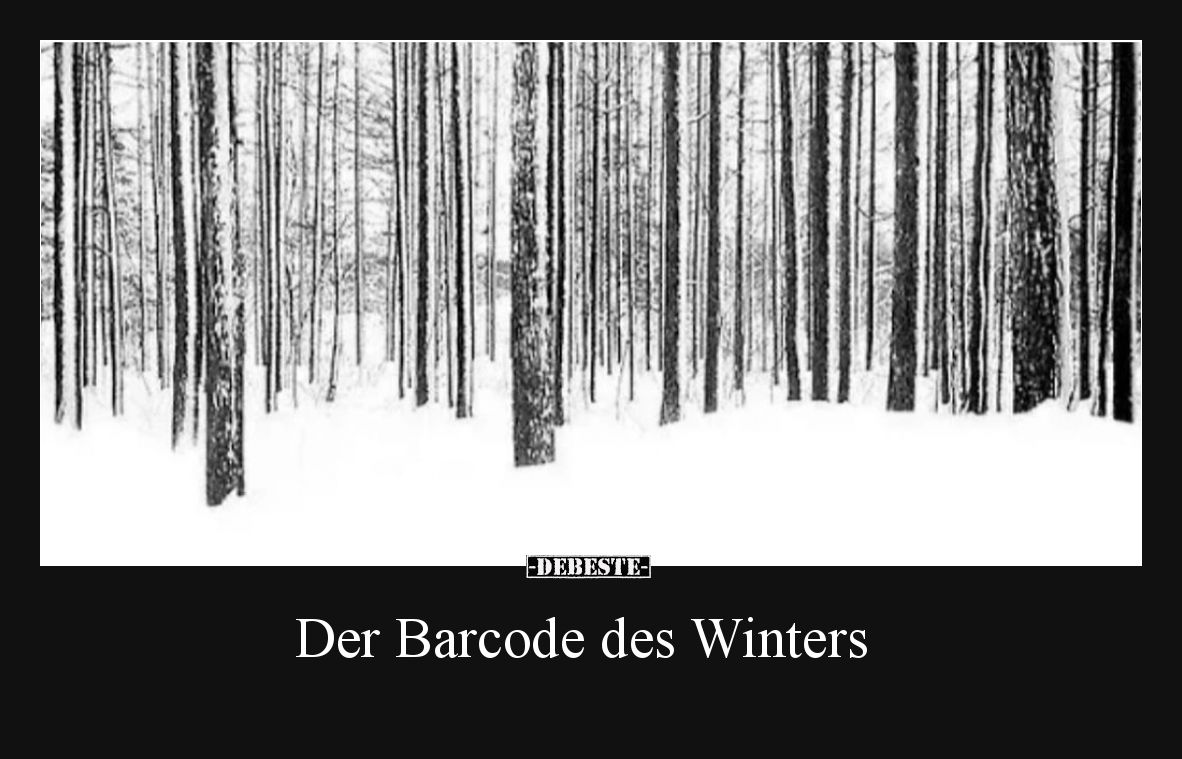 Der Barcode des Winters