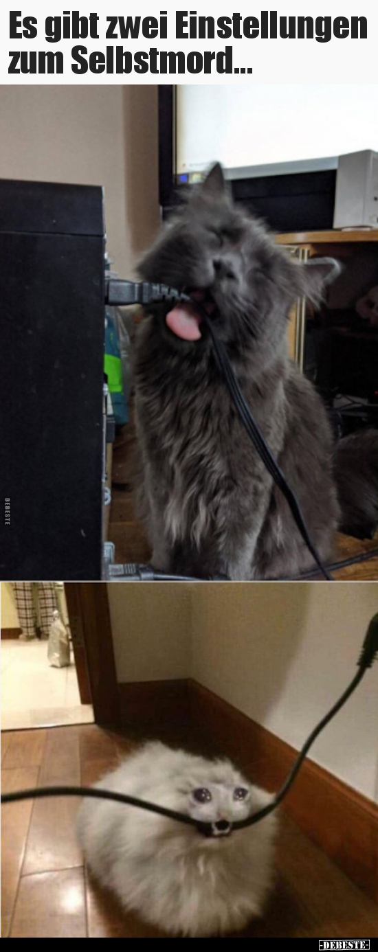 Es gibt zwei Einstellungen zum Selbstmord...