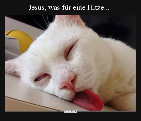 Jesus, was für eine Hitze... - Lustige Bilder | DEBESTE.de