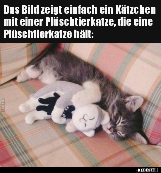 Das Bild zeigt einfach ein Kätzchen mit einer.. - Lustige Bilder | DEBESTE.de