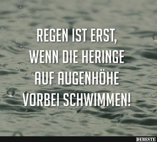 Regen ist erst, wenn die Heringe auf Augenhöhe vorbei schwimmen! - Lustige Bilder | DEBESTE.de