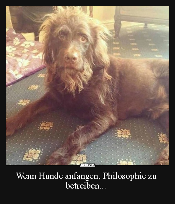 Hunde, Philosophie