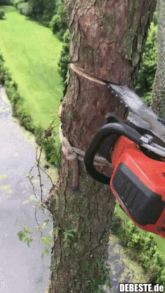 Endlich mal mit Profis..