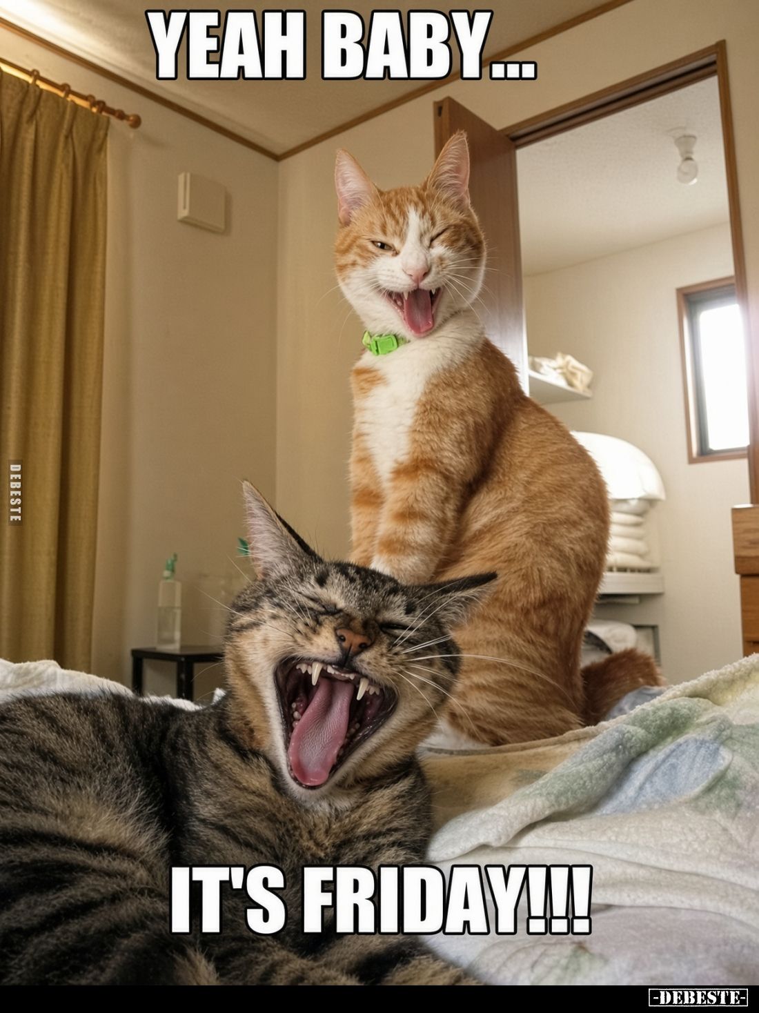 Yeah baby...
it's friday!!!