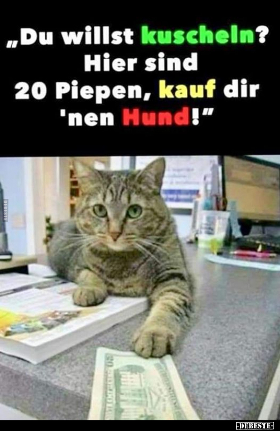 "Du willst kuscheln?.." - Lustige Bilder | DEBESTE.de