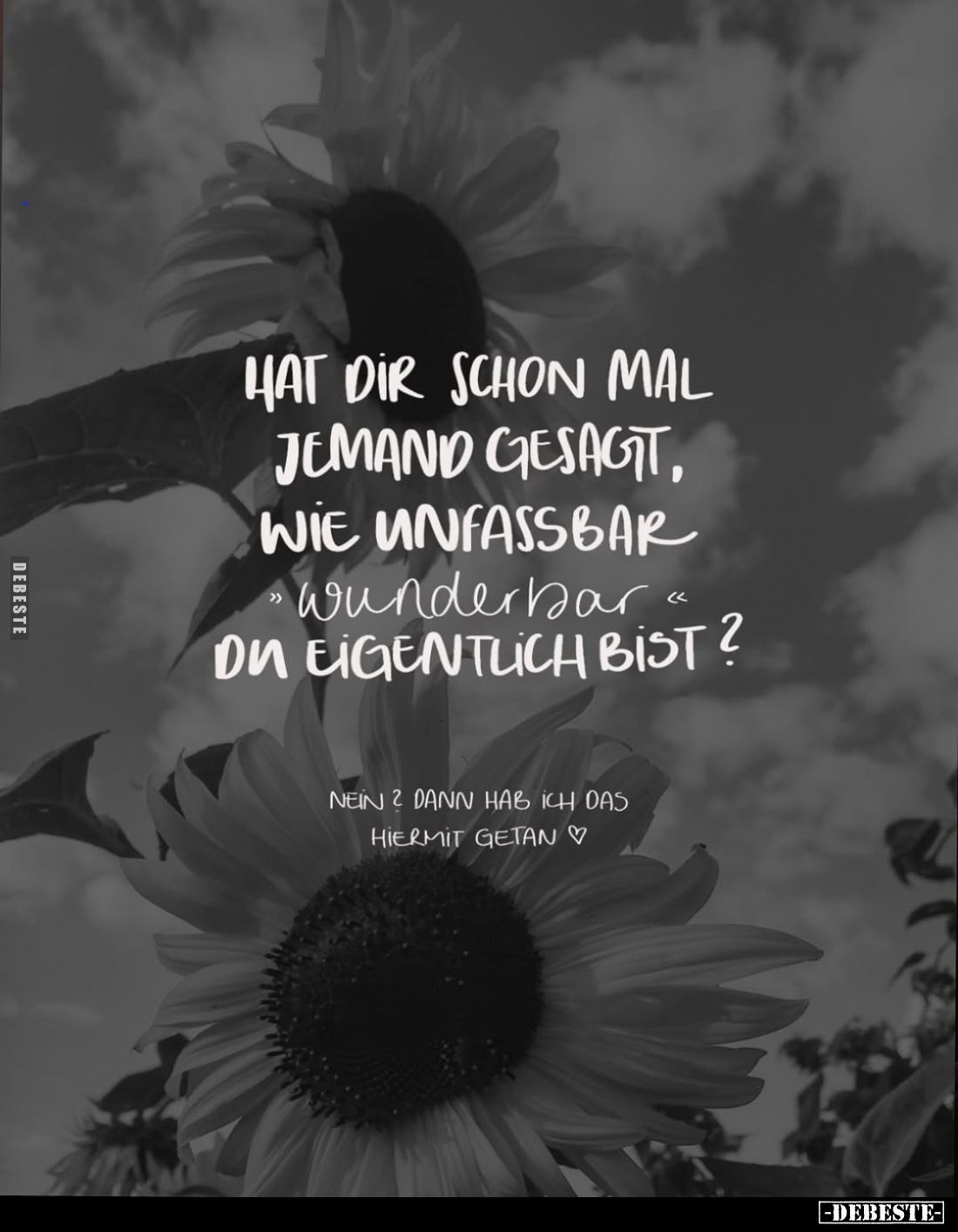 Hat dir schon mal jemand gesagt, wie unfassbar *wunderbar*
du eigentlich bist?
Nein? Dann hab ich das
hiermit getan.