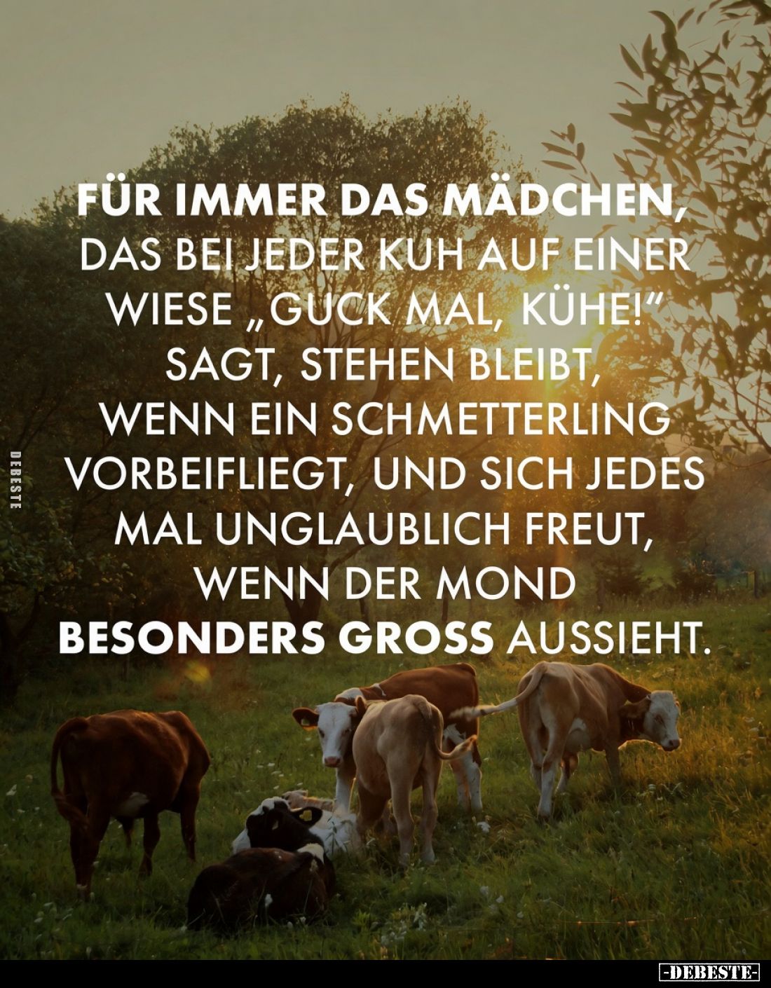 Für immer das Mädchen, das bei jeder Kuh auf einer wiese "Guck mal, Kühe!" sagt, stehen bleibt, wenn ein Schmetterl...