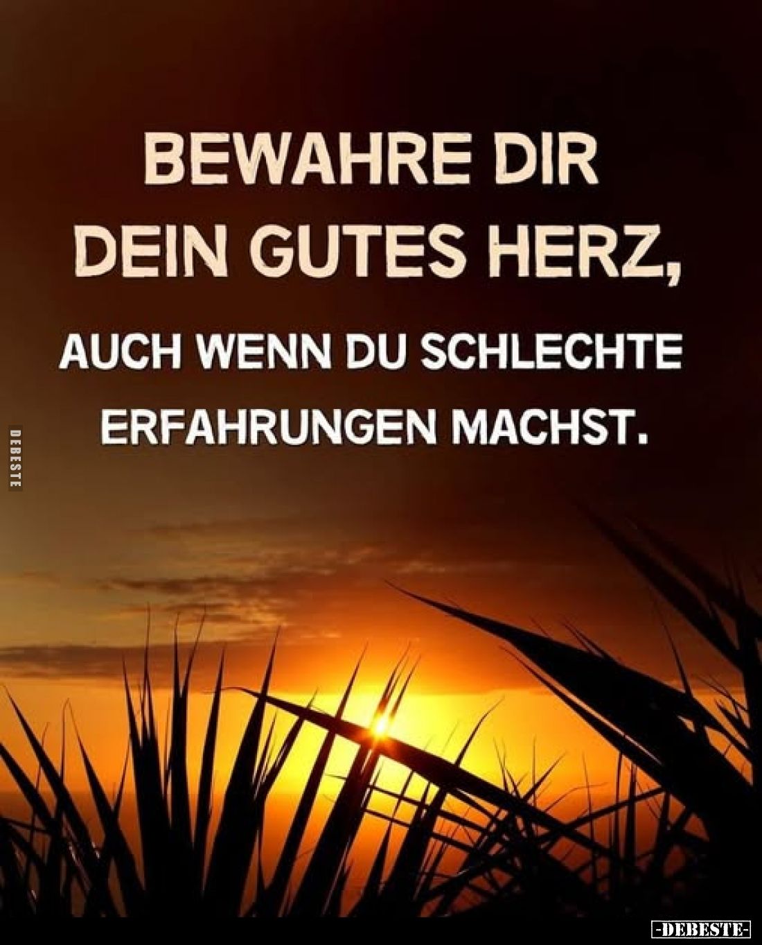 Bewahre dir dein gutes Herz, auch wenn du schlechte Erfahrungen machst.