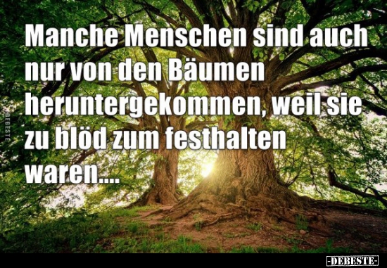 Manche Menschen sind auch nur von den Bäumen.. - Lustige Bilder | DEBESTE.de