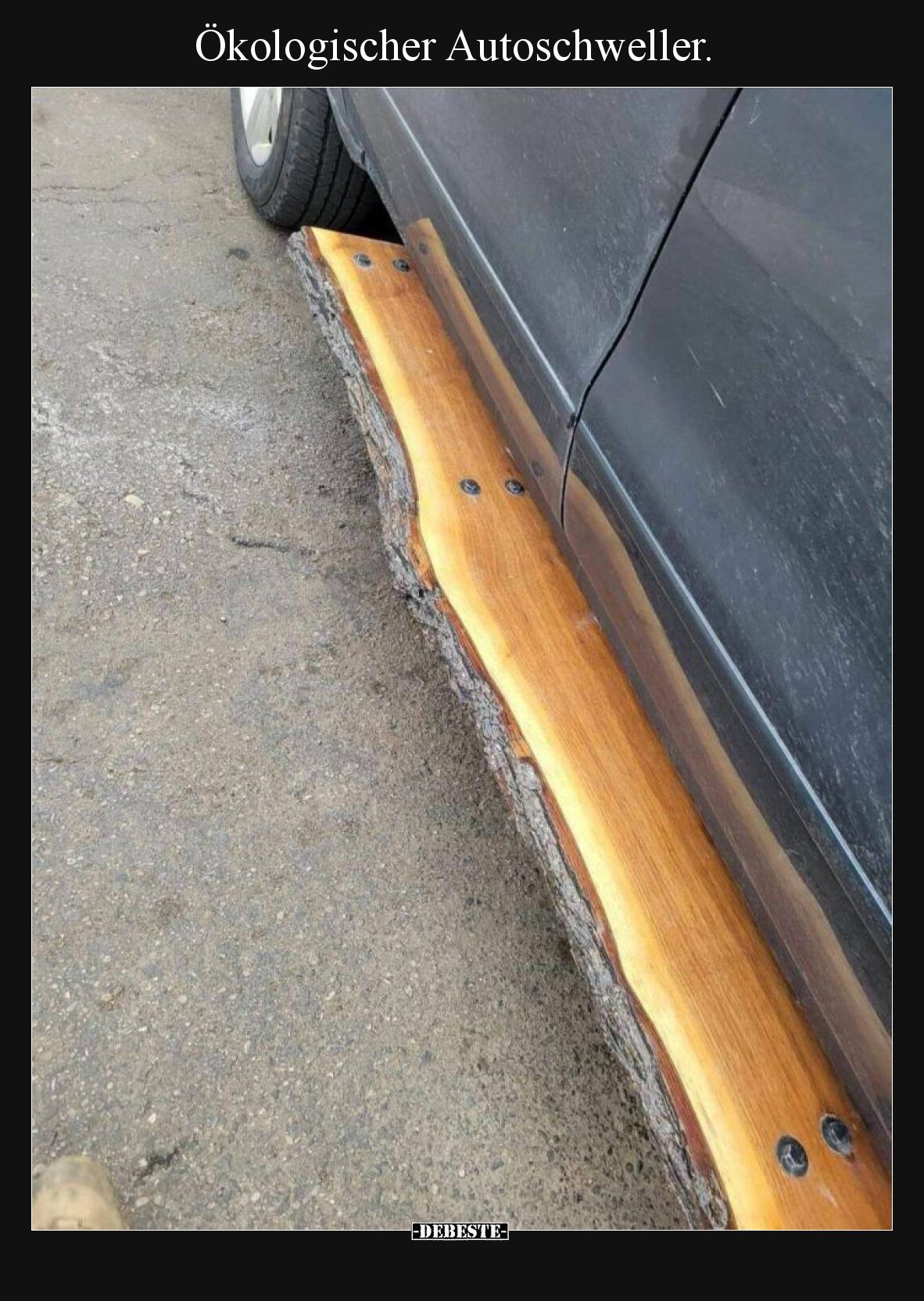 Ökologischer Autoschweller