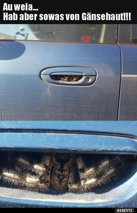 Au weia... Hab aber sowas von Gänsehaut!!!..