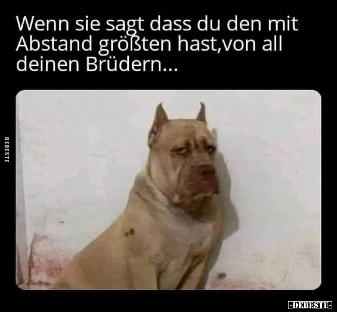 Wenn sie sagt dass du den mit Abstand größten hast, von all deinen Brüdern...