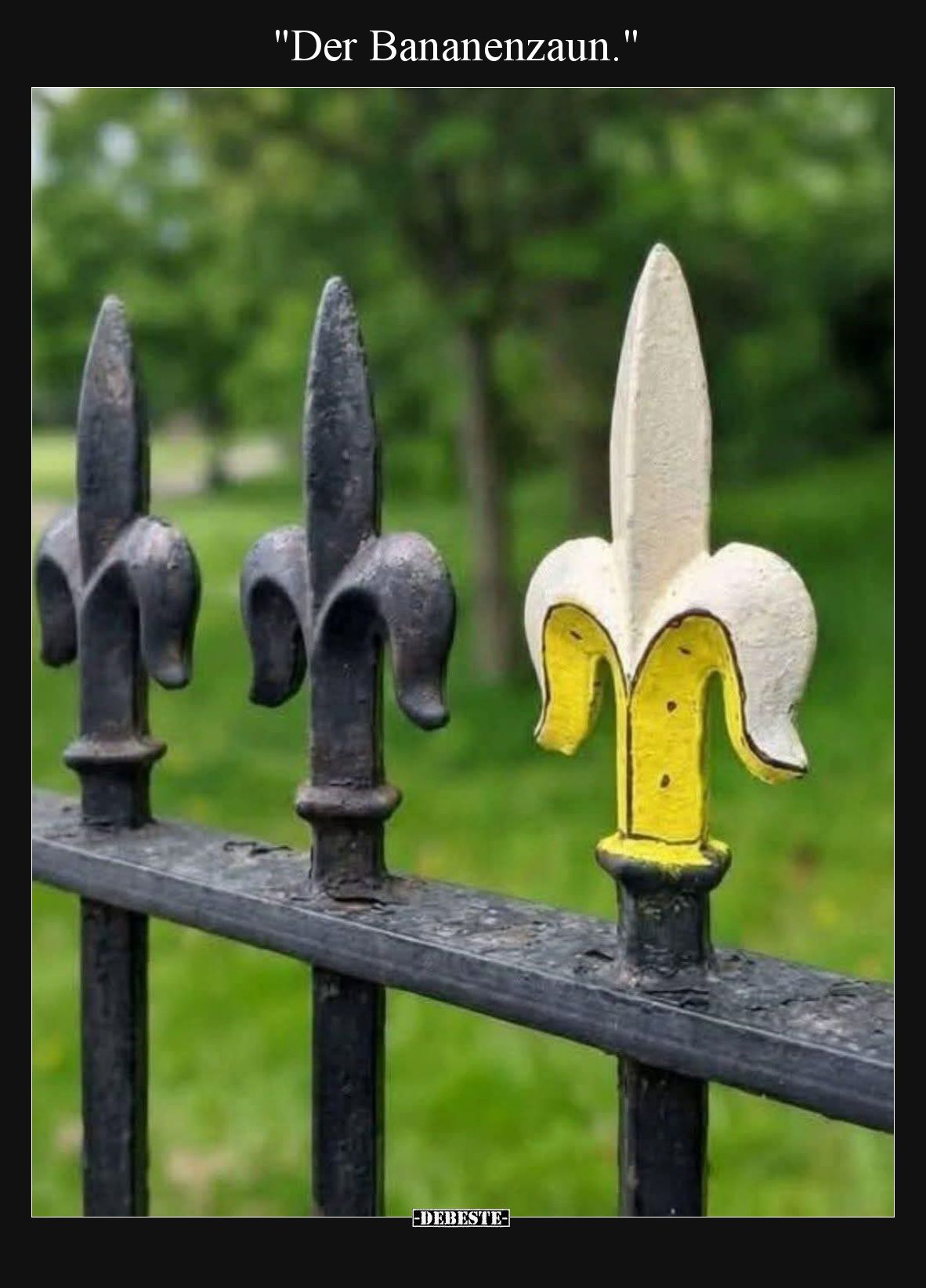 Der Bananenzaun