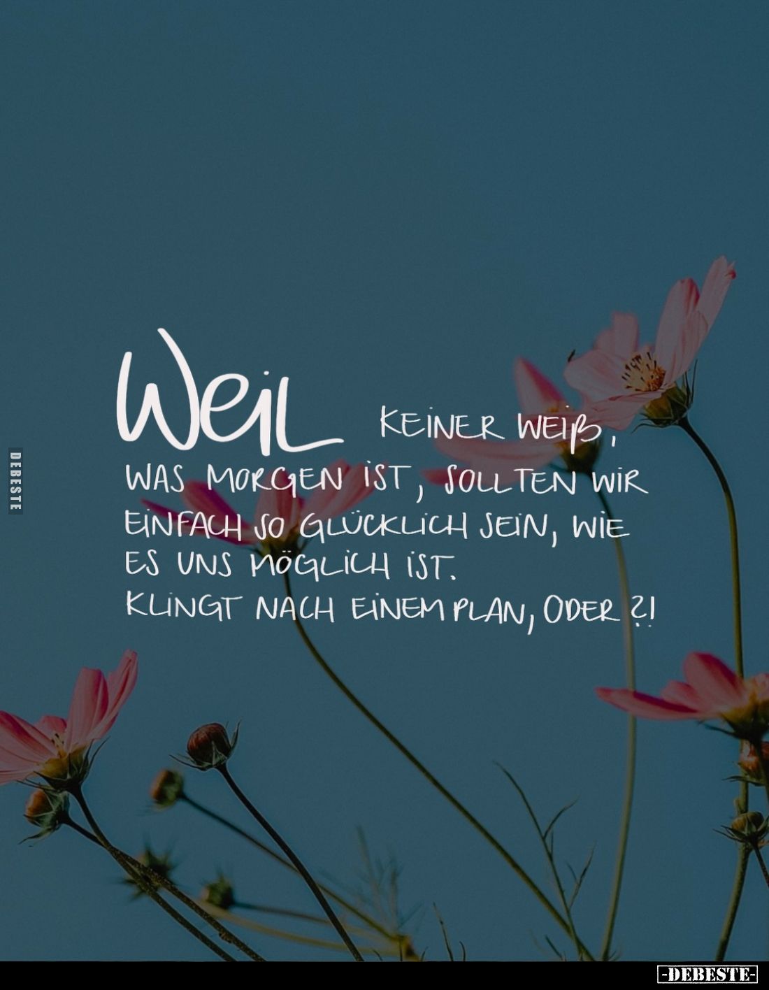 Weil keiner weiß, was morgen ist, sollten wir einfach so glücklich sein, wie es uns möglich ist.
Klingt nach einem Plan, ode...