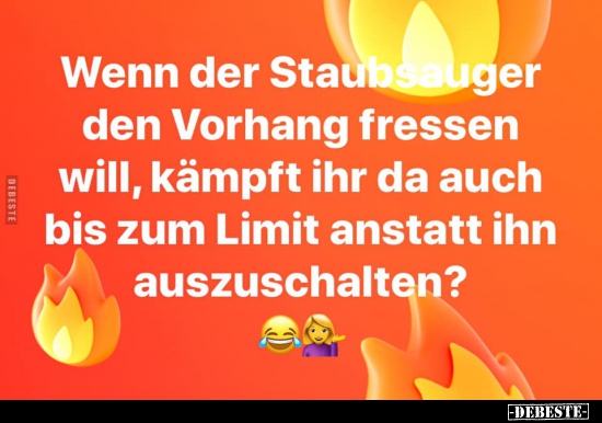 Wenn der Staubsauger den Vorhang fressen will, kämpft ihr.. - Lustige Bilder | DEBESTE.de