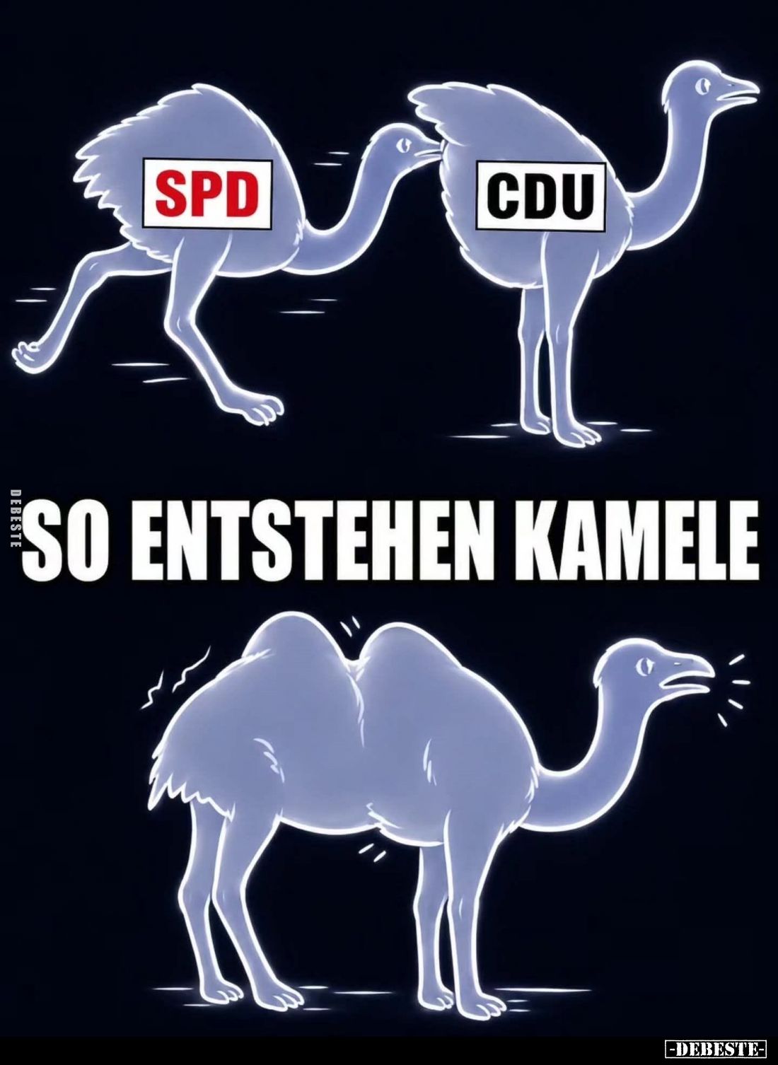 So entstehen Kamele: