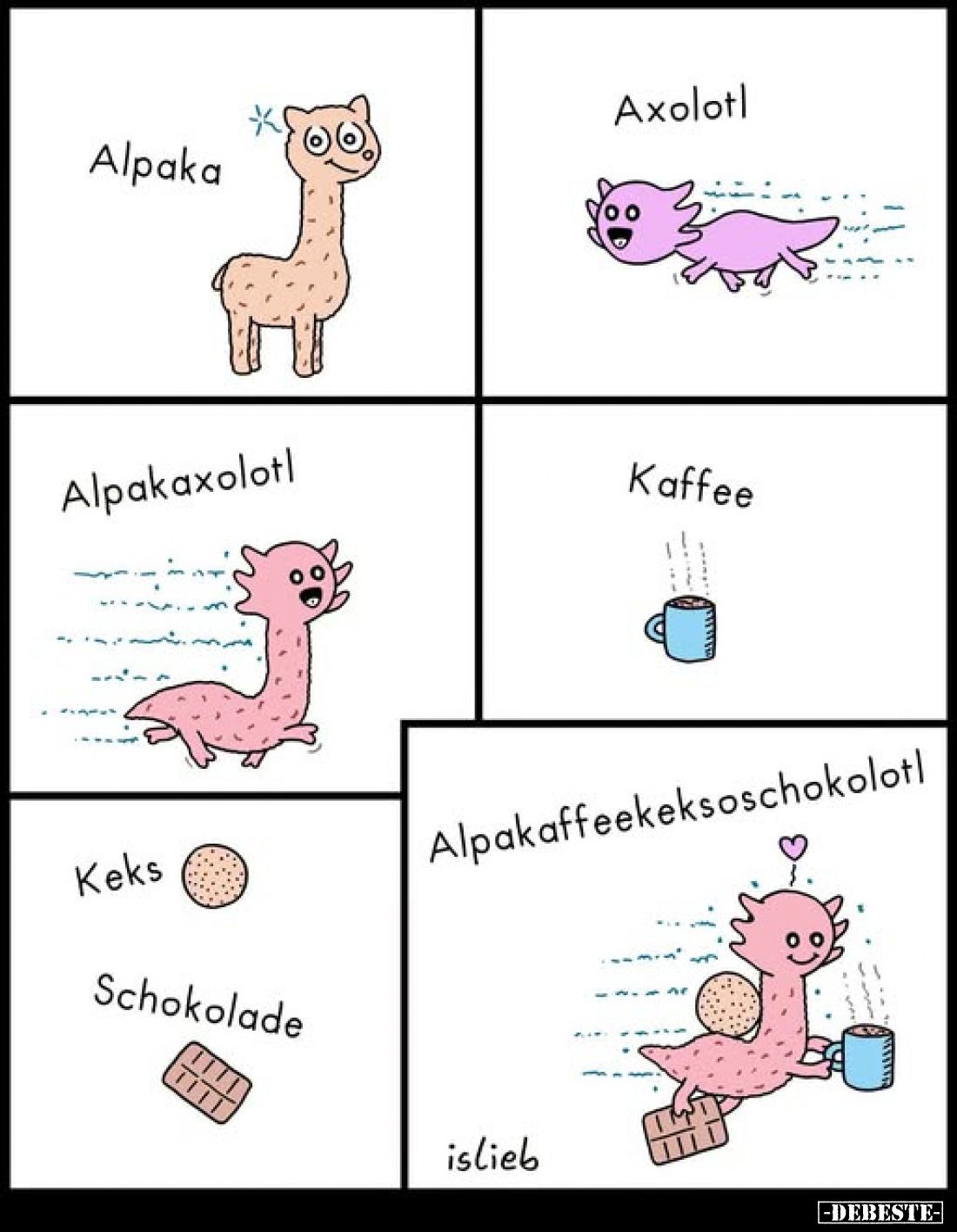 Alpaka
-
Axolotl
-
Alpakaxolotl
-
Kaffee
-
Keks
-
Schokolade
-
Alpakaffeekeksoschokolotl