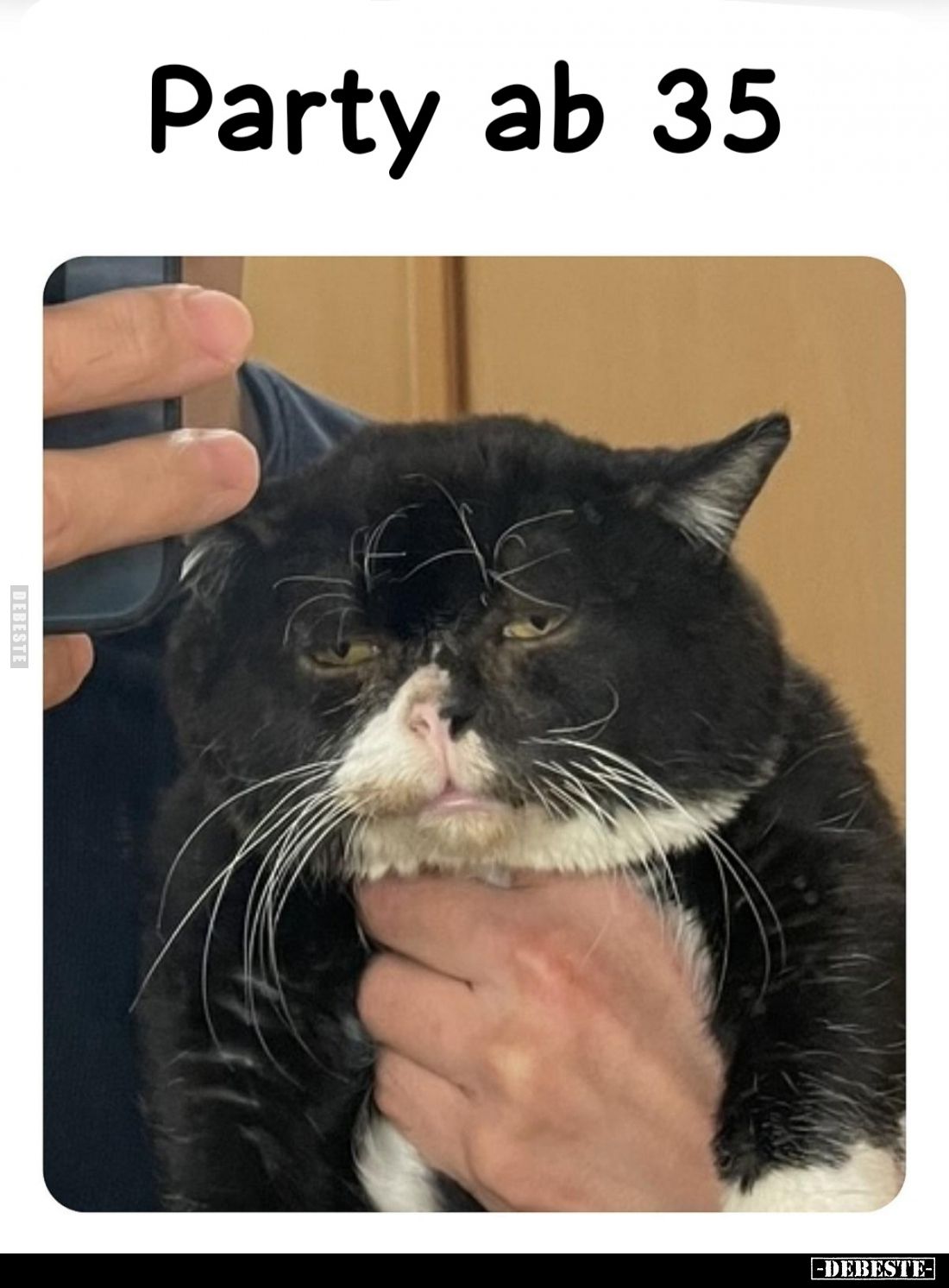 Party ab 35