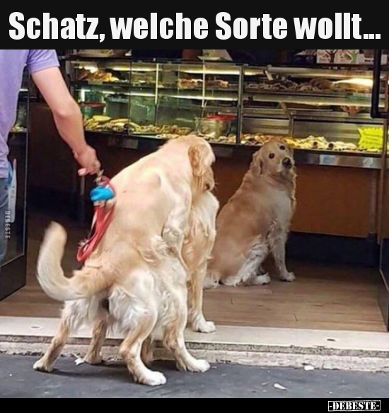 Schatz, welche Sorte wollt... - Lustige Bilder | DEBESTE.de