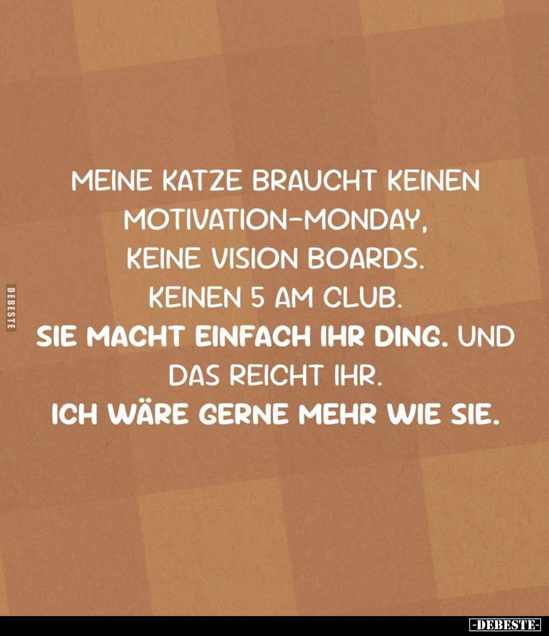 Meine Katze braucht keinen Motivation-Monday, keine Vision Boards. Keinen 5 am Club. Sie macht einfach ihr Ding. Und das reic...