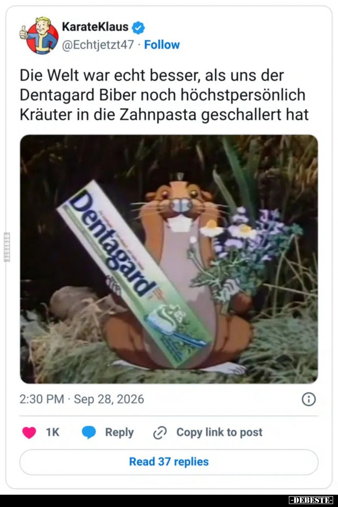 Die Welt war echt besser, als uns der Dentagard Biber noch.. - Lustige Bilder | DEBESTE.de